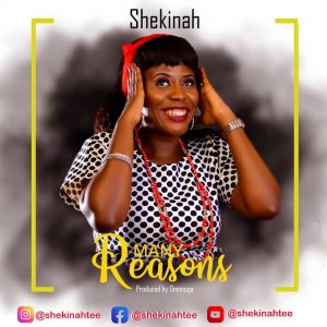 DOWNLOAD MP3: Shekinah - Many Reasons
