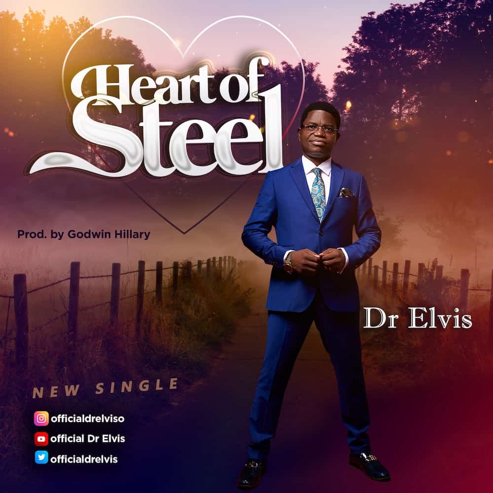 Download Mp3: Dr Elvis - Heart of Steel